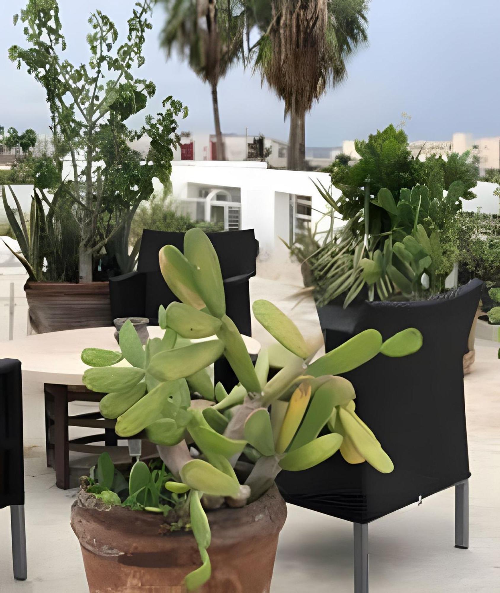 Apartament 12 De Octubre Cabo San Lucas Zewnętrze zdjęcie