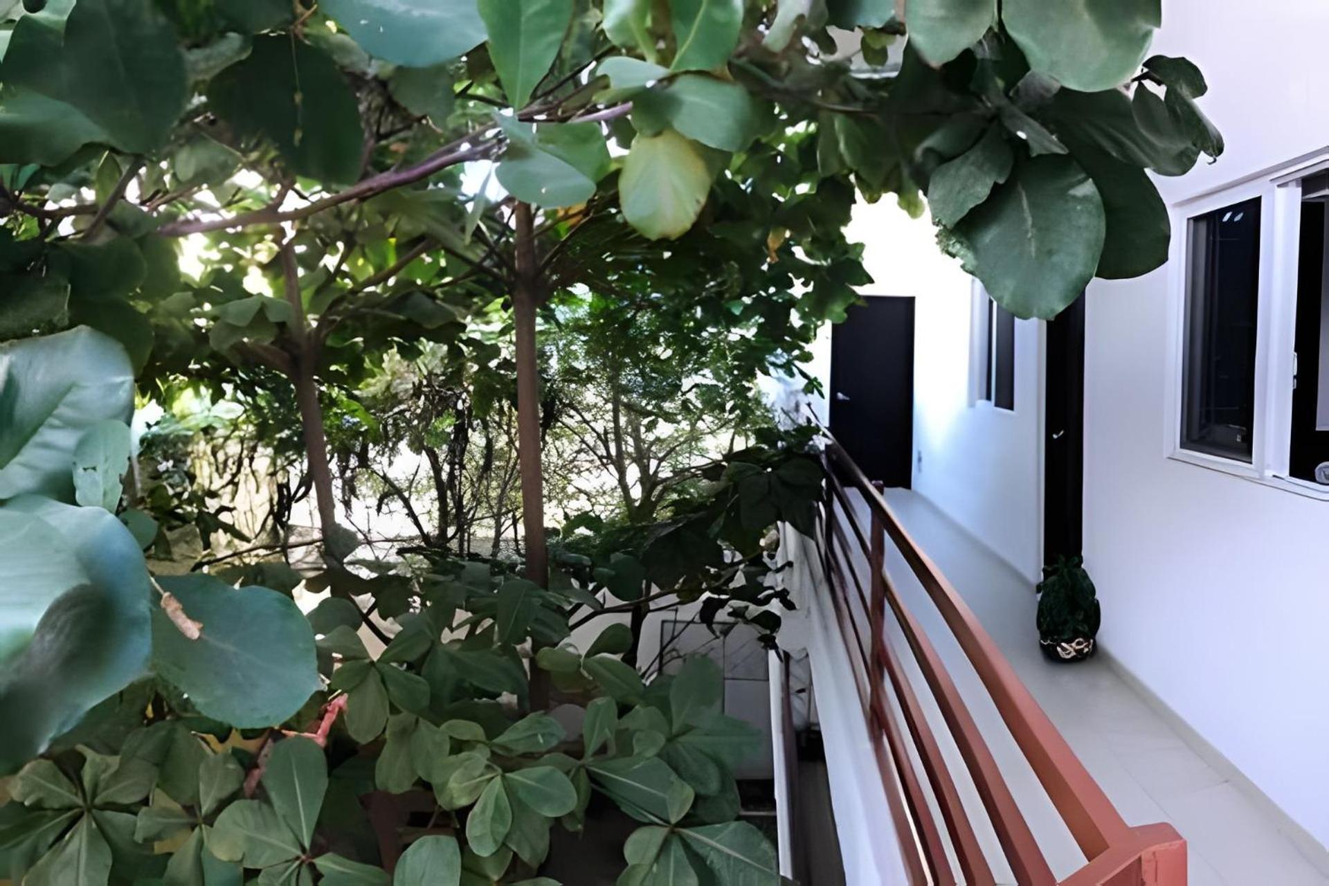 Apartament 12 De Octubre Cabo San Lucas Zewnętrze zdjęcie