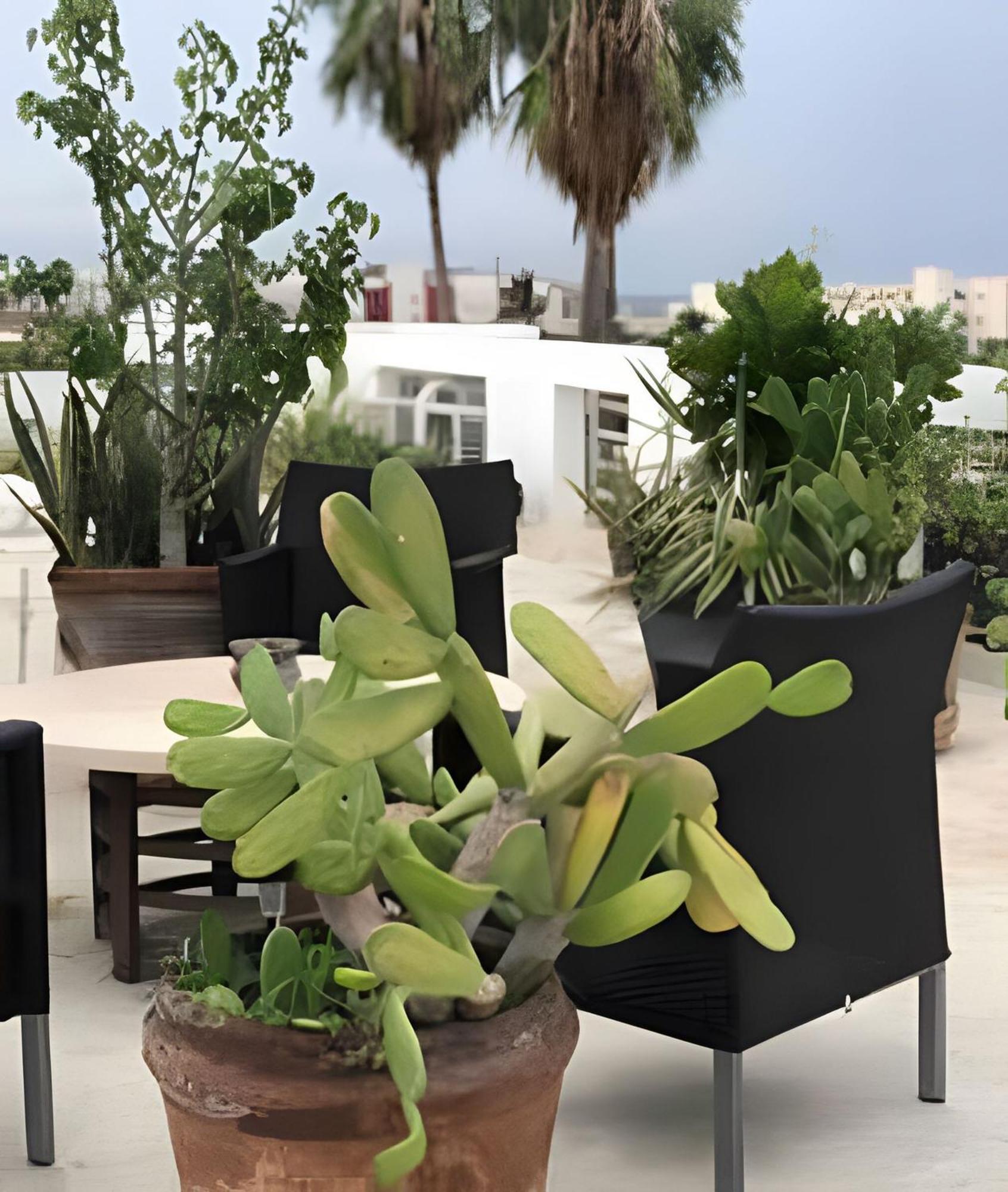 Apartament 12 De Octubre Cabo San Lucas Zewnętrze zdjęcie