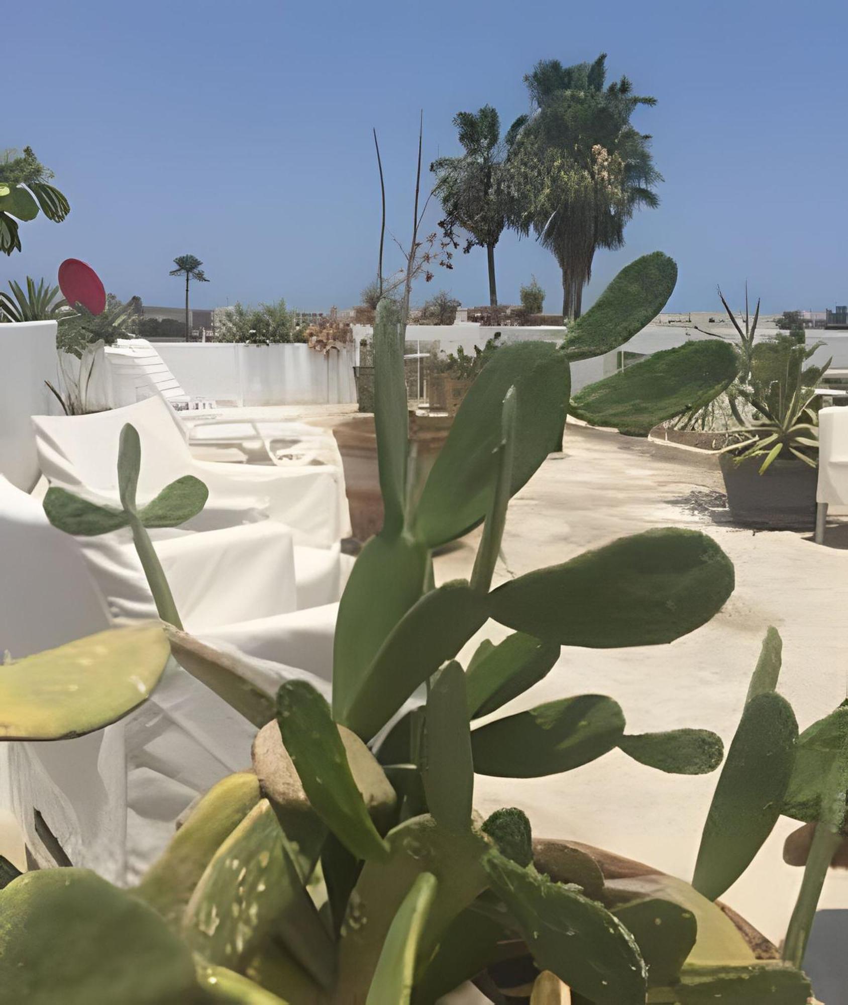 Apartament 12 De Octubre Cabo San Lucas Zewnętrze zdjęcie